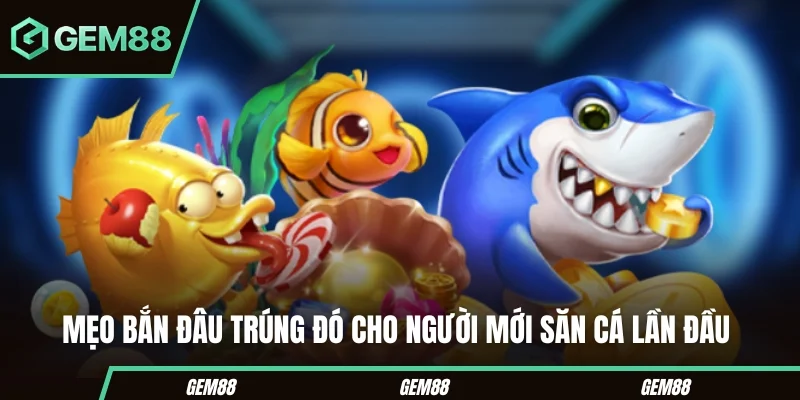 Bắn Cá H5 - Mẹo Săn Thưởng Khủng Với Những Mẹo Cược Cực Hay Mẹo bắn đâu trúng đó cho người mới săn cá lần đầu