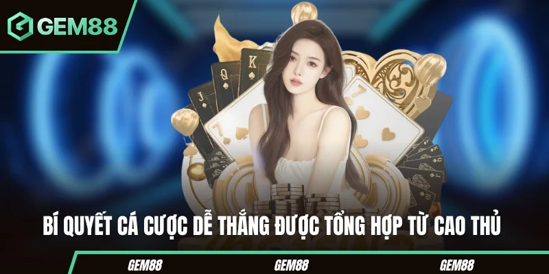 Cách Chơi Mậu Binh Từ A Đến Z Cho Người Mới Nhập Cuộc Bí quyết cá cược dễ thắng được tổng hợp từ cao thủ