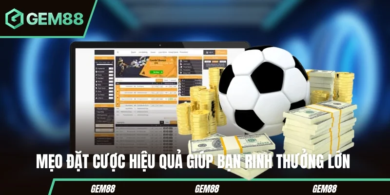Kèo Chấp Bóng Đá - Hướng Dẫn Cách Đọc Cho Người Mới Mẹo đặt cược hiệu quả giúp bạn rinh thưởng lớn