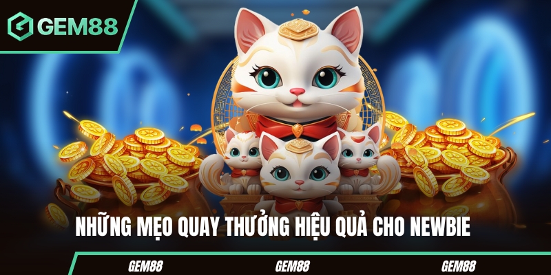 Slot Mèo Thần Tài - Game Săn Thưởng Đơn Giản, Giá Trị 2025 Những mẹo quay thưởng hiệu quả cho newbie