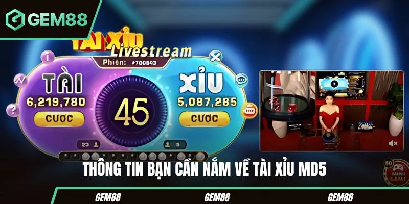 Tài Xỉu MD5 – Tổng Hợp Các Mẹo Rinh Thưởng Hiệu Tại Gem88 Thông tin bạn cần nắm về tài xỉu MD5