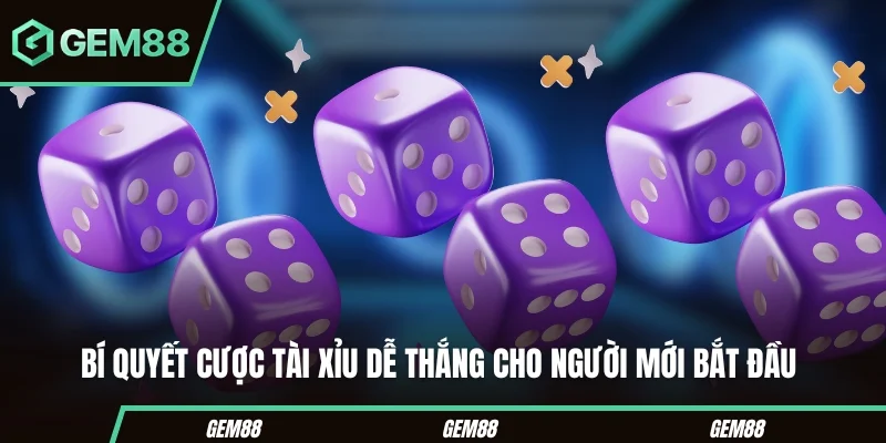 Tài Xỉu Sunwin - Bí Quyết Đặt Cược Ăn Chắc Cho Người Mới Bí quyết cược tài xỉu dễ thắng cho người mới bắt đầu